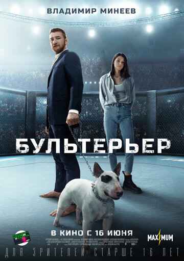 Бультерьер 2022